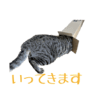 わがやのオチさん（個別スタンプ：12）