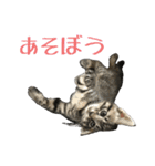 わがやのオチさん（個別スタンプ：15）