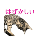 わがやのオチさん（個別スタンプ：19）