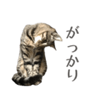 わがやのオチさん（個別スタンプ：21）
