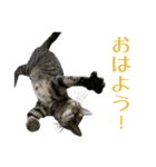 わがやのオチさん（個別スタンプ：24）