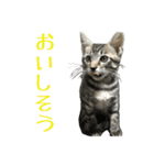 わがやのオチさん（個別スタンプ：25）