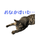 わがやのオチさん（個別スタンプ：26）