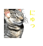 わがやのオチさん（個別スタンプ：31）