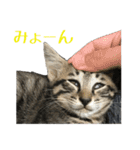わがやのオチさん（個別スタンプ：32）