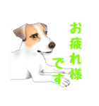 ドッグラン友達（個別スタンプ：5）