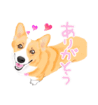 ドッグラン友達（個別スタンプ：6）