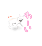ドッグラン友達（個別スタンプ：12）