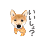 ドッグラン友達（個別スタンプ：13）