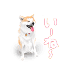 ドッグラン友達（個別スタンプ：18）