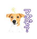 ドッグラン友達（個別スタンプ：20）