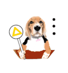 ドッグラン友達（個別スタンプ：27）