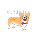 ドッグラン友達（個別スタンプ：28）