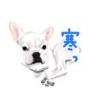 ドッグラン友達（個別スタンプ：32）