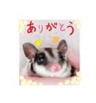 フクモモのタロの日常（個別スタンプ：10）