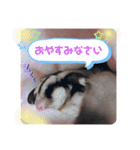 フクモモのタロの日常（個別スタンプ：16）