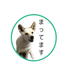 CHIRO's stamp2(シンプル)（個別スタンプ：14）