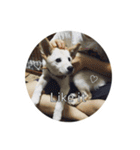 CHIRO's stamp2(シンプル)（個別スタンプ：32）
