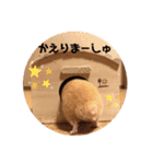 キンクマハムスターぼんたの丸いスタンプ（個別スタンプ：7）