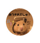 キンクマハムスターぼんたの丸いスタンプ（個別スタンプ：8）