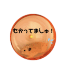 キンクマハムスターぼんたの丸いスタンプ（個別スタンプ：10）
