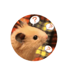 キンクマハムスターぼんたの丸いスタンプ（個別スタンプ：20）