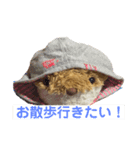 コンの日常（個別スタンプ：6）