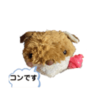 コンの日常（個別スタンプ：8）