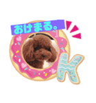 甘えん坊マロンちゃん（個別スタンプ：3）