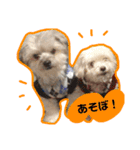 みーるー＆あーるースタンプ（個別スタンプ：11）