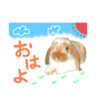 ぷーちんの日常（個別スタンプ：1）