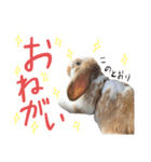 ぷーちんの日常（個別スタンプ：5）