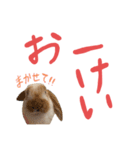ぷーちんの日常（個別スタンプ：6）