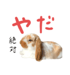 ぷーちんの日常（個別スタンプ：7）