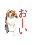 ぷーちんの日常（個別スタンプ：8）