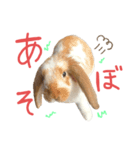 ぷーちんの日常（個別スタンプ：10）