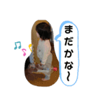のどかのスタンプ✨3（個別スタンプ：15）