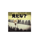 汎用性ばつぐん！とわちゃんとふうまん1（個別スタンプ：3）