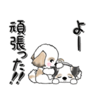 シーズー犬の広島弁Vol.2 40（個別スタンプ：26）