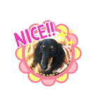 チョコクロ（個別スタンプ：3）