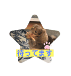 チョコクロ（個別スタンプ：9）