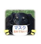 チョコクロ（個別スタンプ：12）