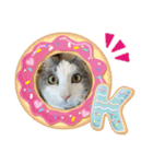 我が家の猫（Part8）（個別スタンプ：9）