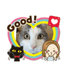 我が家の猫（Part8）（個別スタンプ：11）