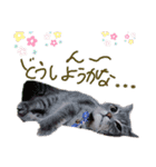猫 メンマです2（個別スタンプ：4）