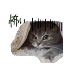 猫 メンマです2（個別スタンプ：10）