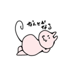 ポジティブぱんつねこ（個別スタンプ：7）
