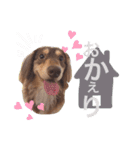 COCOMOCHA（個別スタンプ：3）