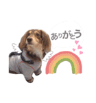 COCOMOCHA（個別スタンプ：4）