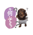 COCOMOCHA（個別スタンプ：6）